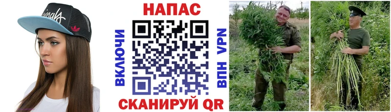 Конопля индика  Купить  Сковородино 
